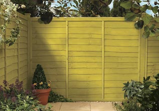 Dazzling Yellow Garden Fence Colour