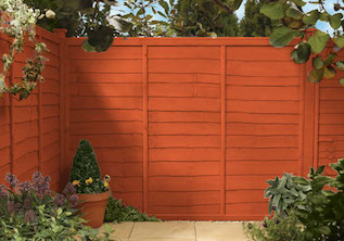 Honey Mango Garden Fence Colour