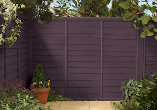 Lavender Garden Fence Colour