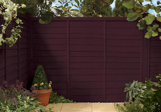 Summer Damson Garden Fence Colour