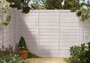 White Daisy Garden Fence Colour