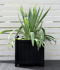 Black Ash Planter Colour