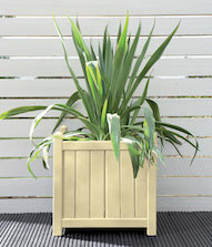 Country Cream Planter Colour