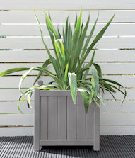 Dusky Gem Planter Colour