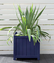 Iris Planter Colour