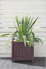 Lavender Planter Colour