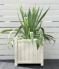 Pale Jasmine Planter Colour