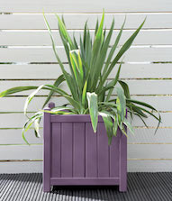 Purple Pansy Planter Colour