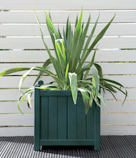 Sage Planter Colour