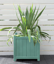 Seagrass Planter Colour