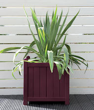 Summer Damson Planter Colour