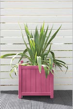 Sweet Sundae Planter Colour